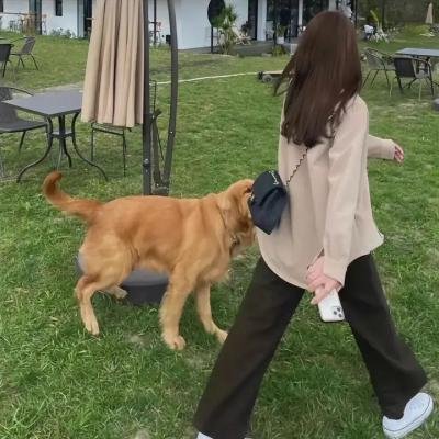 娇娇女仔迎春曲